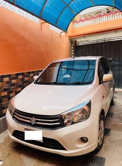 Cultus VXR 2019