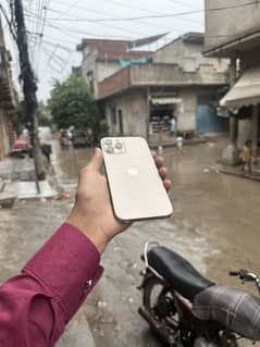 I phone 12 pro max waterpack panal line
