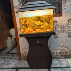 Fish Aquarrium with two fishes all accessories included