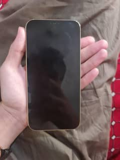 iphone 12 pro max non Pta