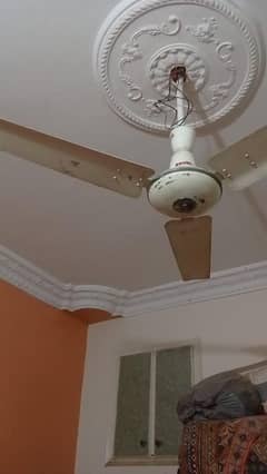 fan