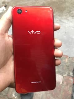 Vivo