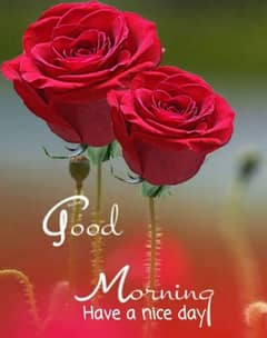 masi ki zarort h safai k lea office mai