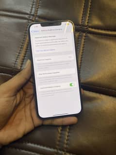 12 pro max factory unlock 128gb