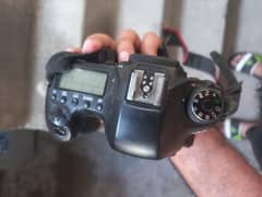 canon 6d