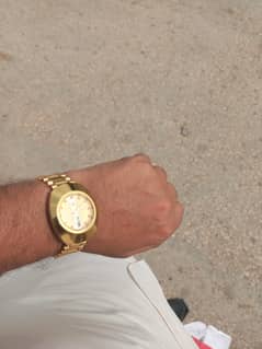 sea star watch