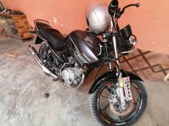 YBR