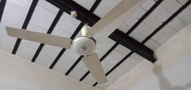 Ceiling fan for sale