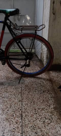 Phoenix cycle