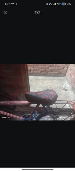 phoneix