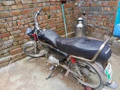 bikes
