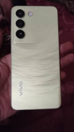 Vivoj