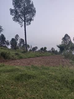 1 kanal residential plot near Helping hand inst, silk road, Abbottabad