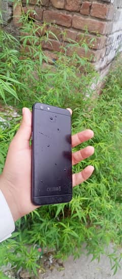 oppo