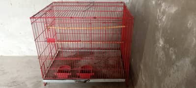 cage for parrots