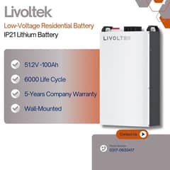 Livoltek BATTERY Lithium Ion LiFePO4 51.2V 100A
