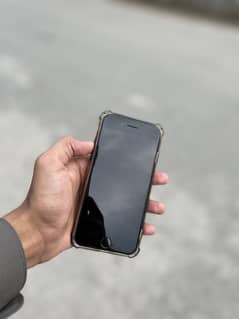 IPhone in very reasonable price