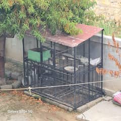 2 cages