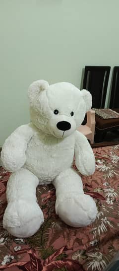teddy bear