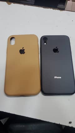iPhone XR