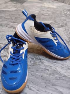Badminton