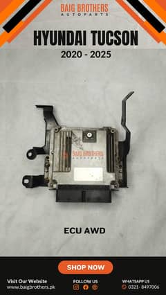 Honda Civic 1.5 Turbo Oriel Rim Bottle Garnish Machine Arm Shock Smd.