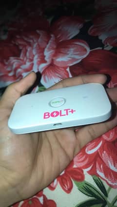 bolt
