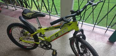 Bicycle 20 inch imported