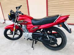 only serious buyer