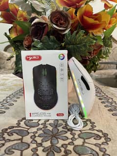 Gaming Mouse HXSJ T66