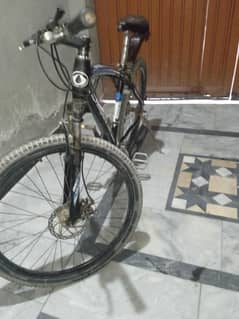 dragon bicycle