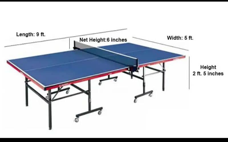 Table tennis 4