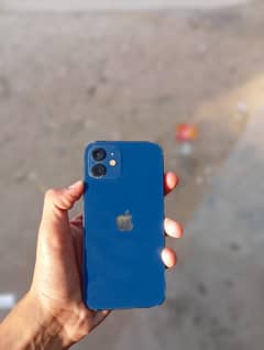 I phone 12