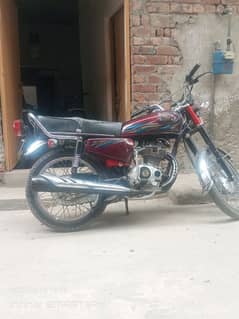 03064295056