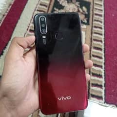 Vivo