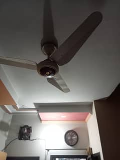 chilling fan urgent sale