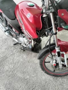 Yamaha