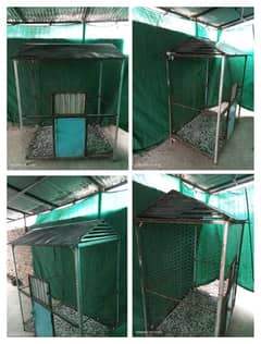 Hens Cage