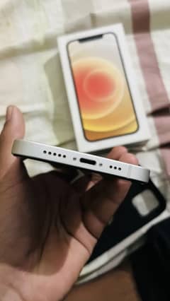 Iphone 12  (64GB) PTA Approve