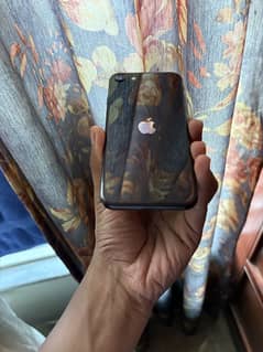 iPhone SE pta