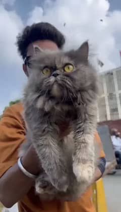 Piki