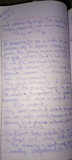 Content writer