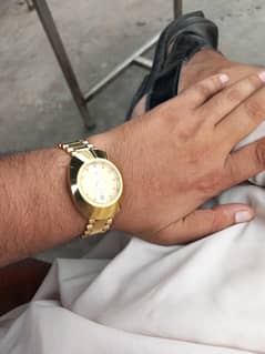 sea star watch