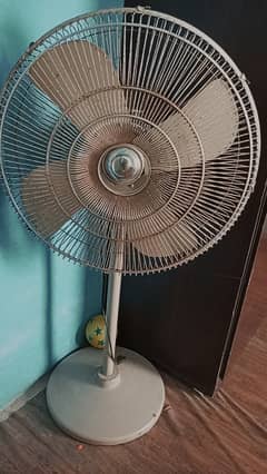 Fan