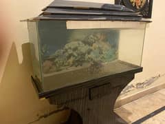 Fish equarium
