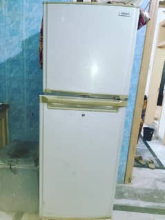 Orient Refrigerator