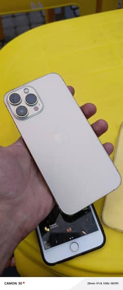 13 pro max