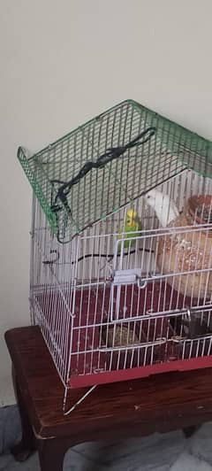 number+923498303916