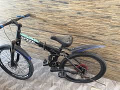 Cycle