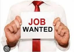 Data entry or any other online work  without investment I need
